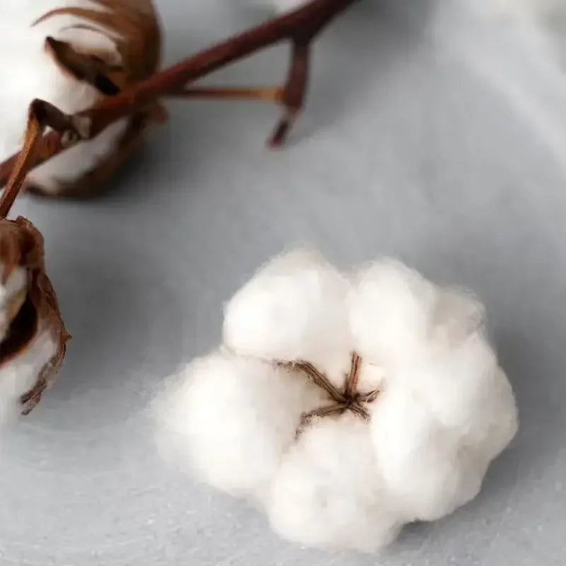 Bart Simpson Classic Cartoon T-Shirt